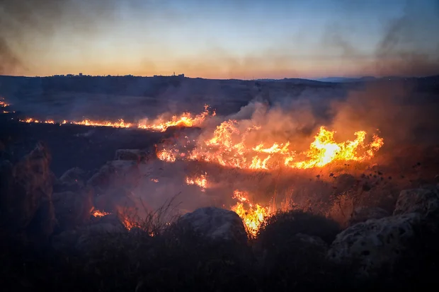 Israeli military and police chiefs condemn Jewish settler violence against Palestinians as ‘terror’