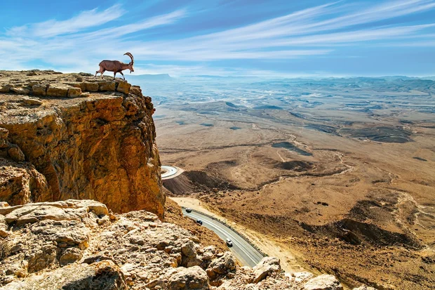 Part 3: Deserts of Israel - A journey through time
