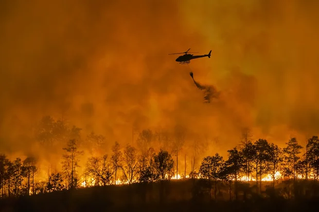 Israel assists fire-stricken Californians: Friends helping friends
