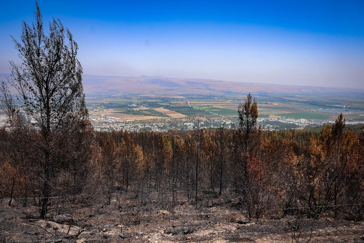 View of the burnt forest caused a rocket fired from Lebanon into northern Israel, near the northern Israeli city of Kiryat Shmona, June 24, 2024. (Photo: David Cohen/Flash90)