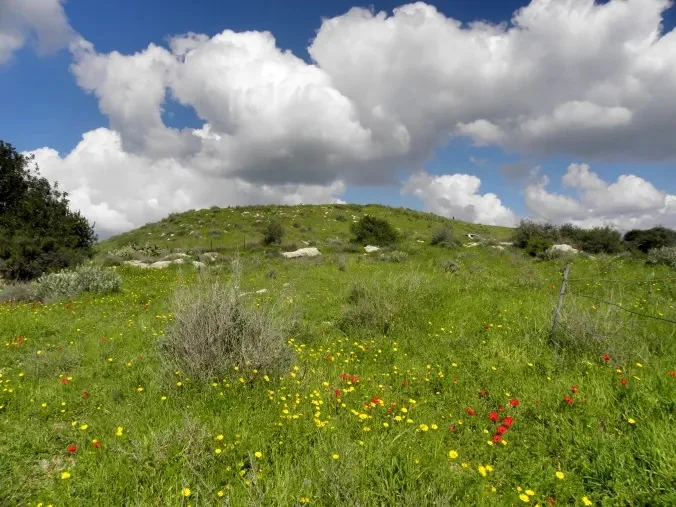 Tel Maresha, February 2019 Photo: Talia Good
