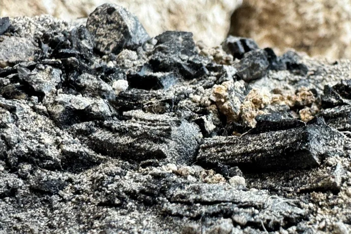The burnt wooden beams discovered in the City of David