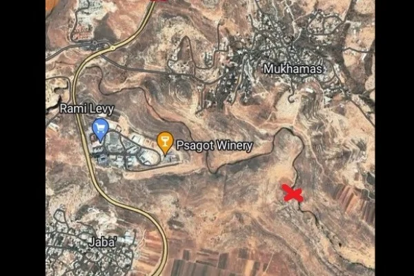The Location of the Seneh and Bozez rocks is shown with a red X on an aerial satellite map (Photo: Screenshot from google maps).