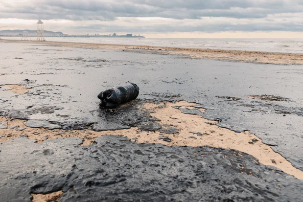 Oil spill on a beach (Photo: Shutterstock)
